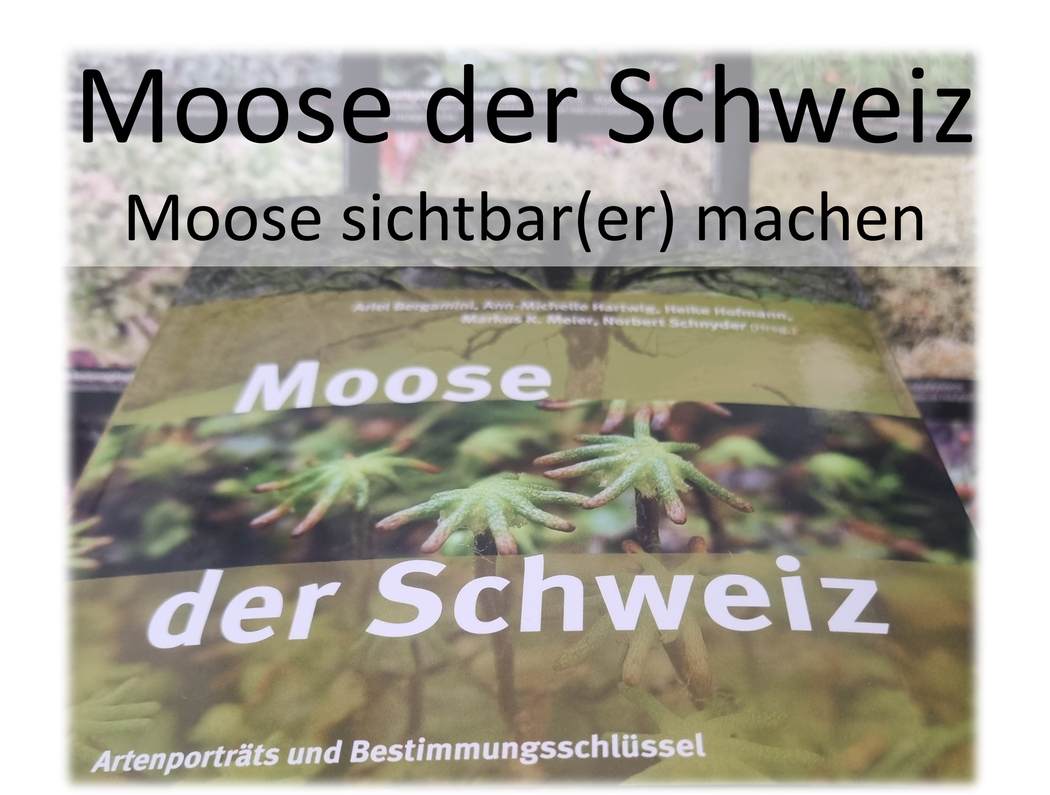Moose der Schweiz
